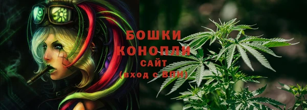 спиды Алзамай