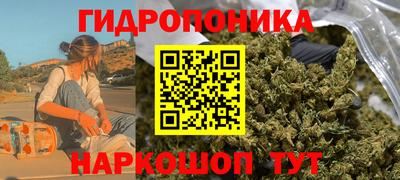 тгк Обь