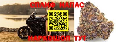 тгк Обь