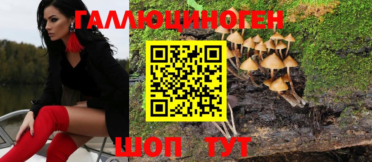 Галлюциногенные грибы Psilocybine cubensis  Вход с VPN  Урюпинск 